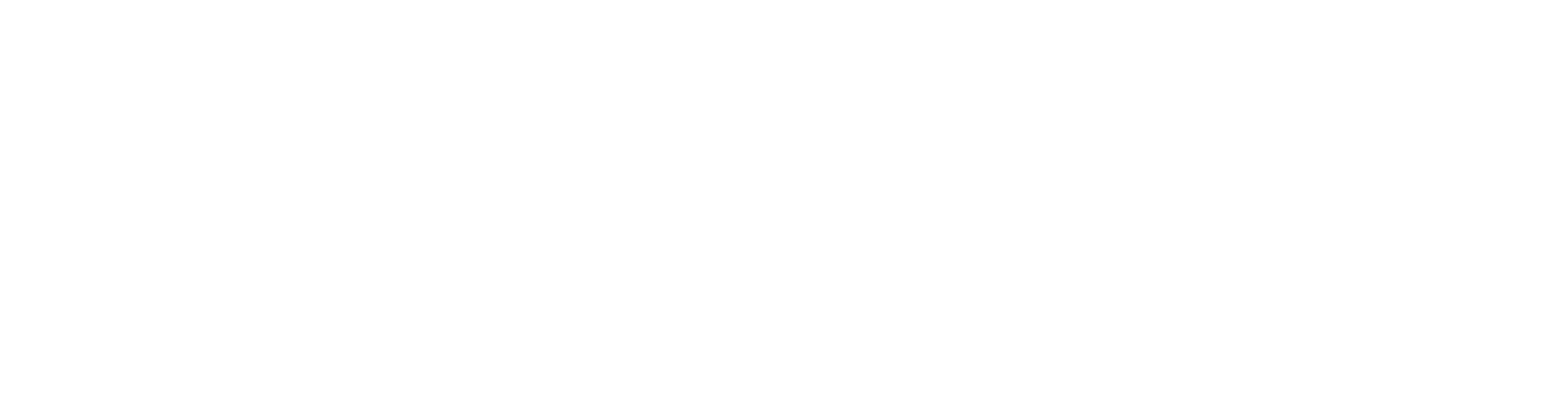 Disney Partners
